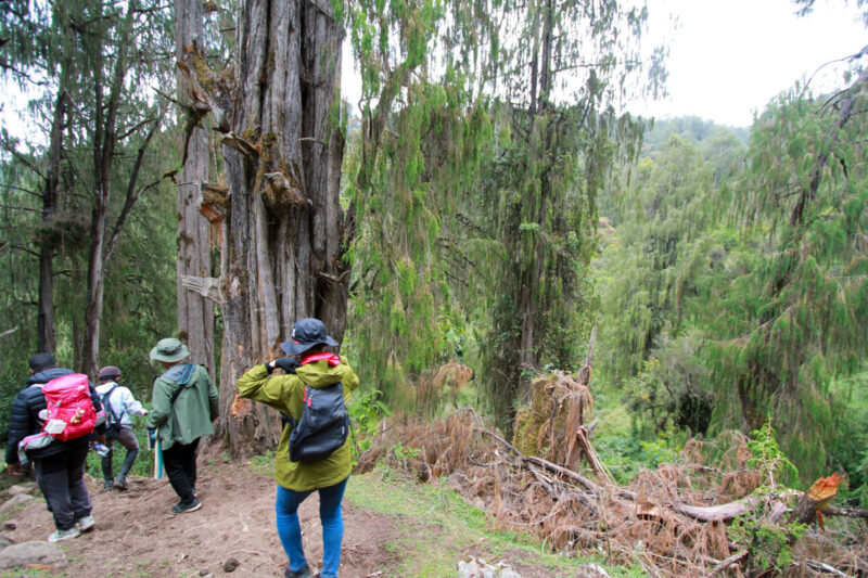 急なくだりは徒歩でトレッキング
