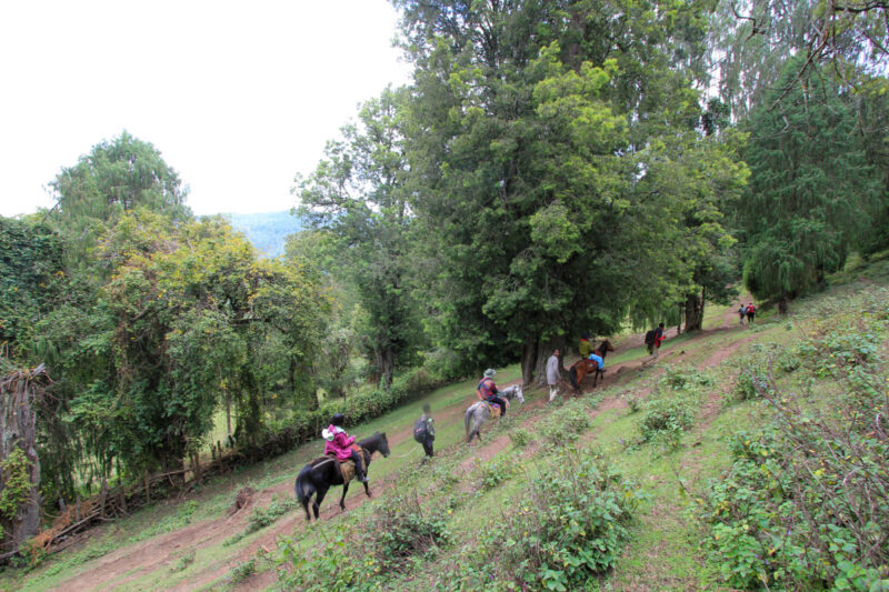 乗馬未経験の方も、すぐに慣れたようです