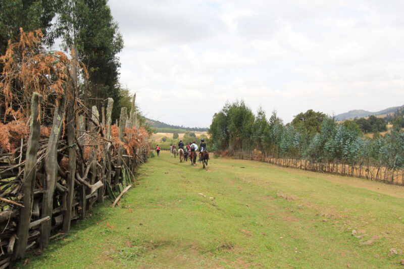 ようやく村に戻ってきました