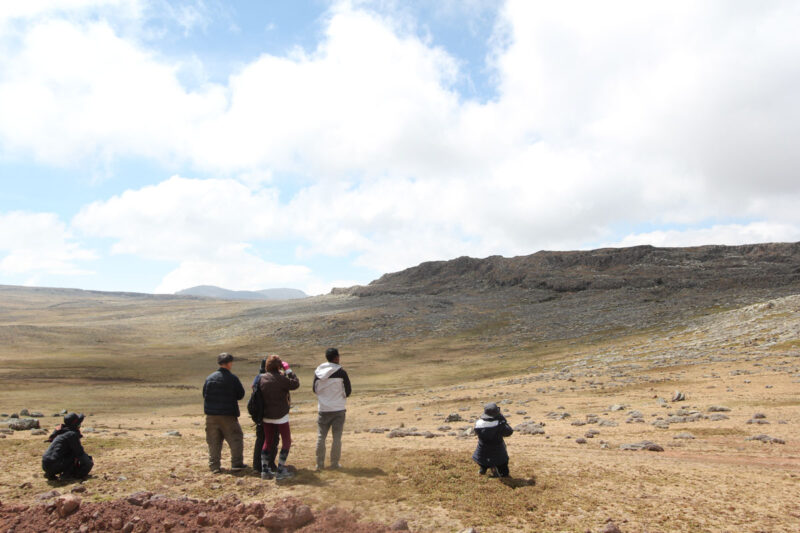 エチオピアン・ウルフを探す皆さん