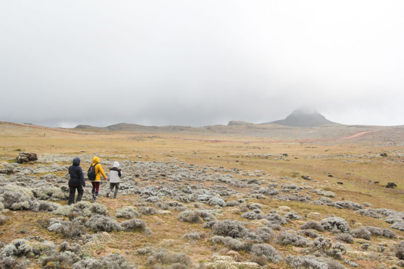 標高4,000mあたりを軽めにトレッキング