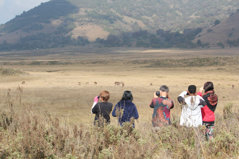 バレ・マウンテンの動物たちとの別れ