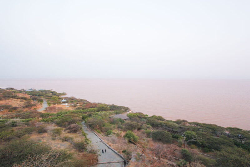 ミネラル豊富なランガノ湖。本当に沢山の鳥たちがロッジに来ていました