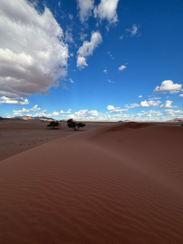 その名も Elim さんという方がここに住んでいたそう