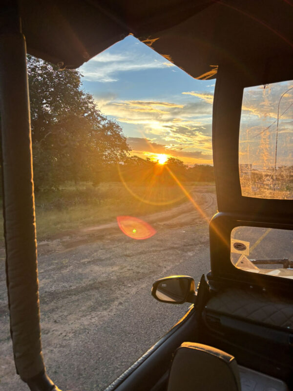 午後は動物たちを間近に見ることができてまた感動してホテルに戻ります。