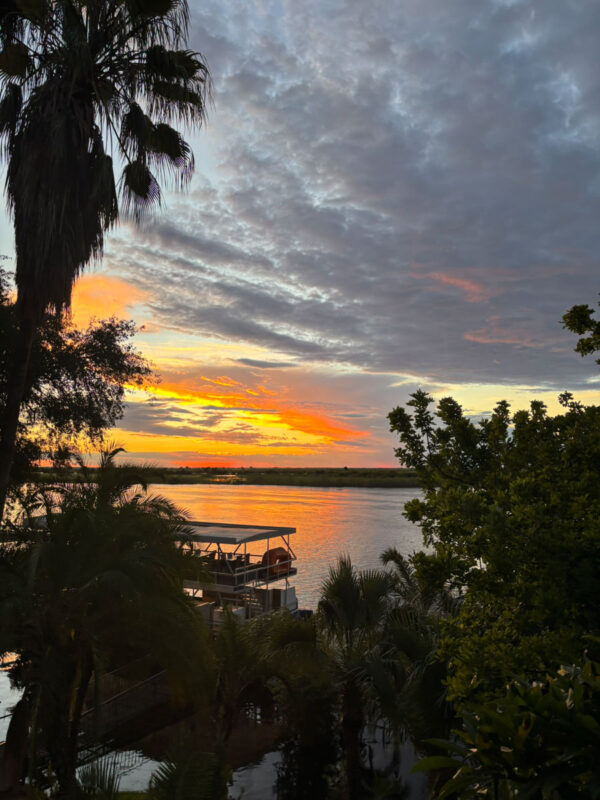 きれいな夕焼け