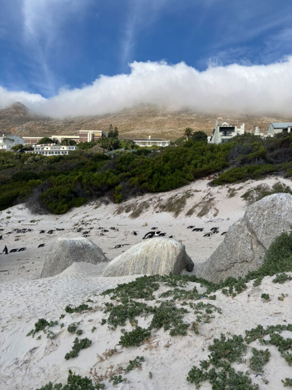 ビーチと町と山が隣り合わせ