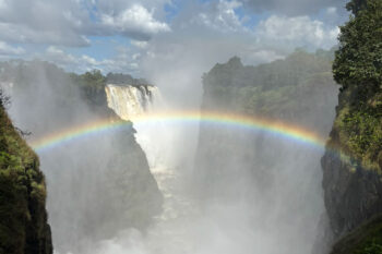 お客様レポートの画像